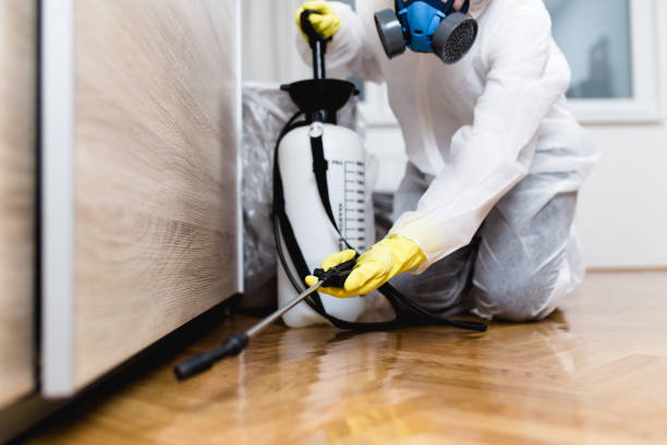 Best Pest Control Near Me in North Plains, OR