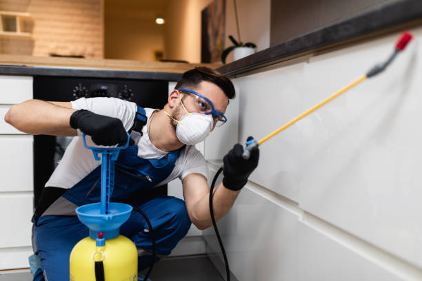 Best Residential Pest Control  in Nth Plains, OR