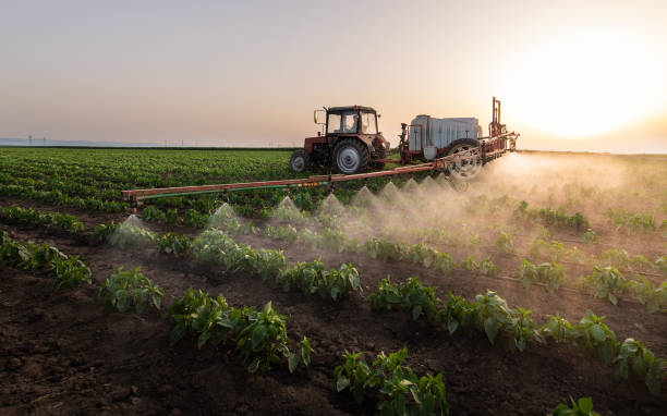 Best Insect Control  in Nth Plains, OR
