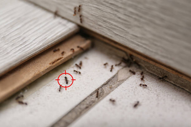 North Plains, OR Pest Control Company