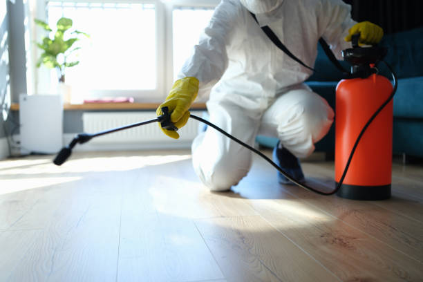 Best Flea Control Services  in Nth Plains, OR