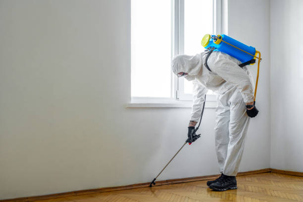 Best Pest Inspection Near Me  in Nth Plains, OR