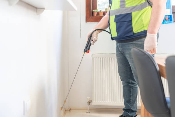 Best Wasp Removal Services  in Nth Plains, OR